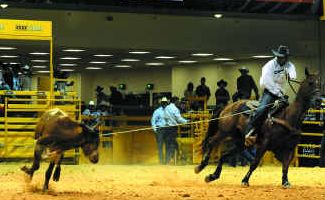Rodeo finals competitors are hoping it is second time lucky. Rodeo finals competitors are hoping it is second time lucky.